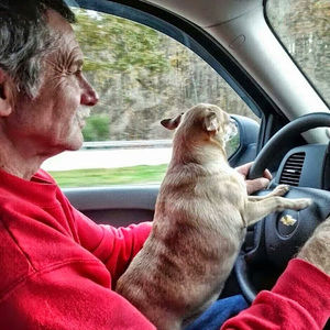 Meet your Posher, Joyce